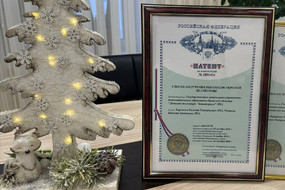 photo_2025-12-30_13-17-29