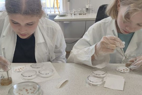 b_9D16C5EE-32FC-4618-8FF0-A437CA729EDB